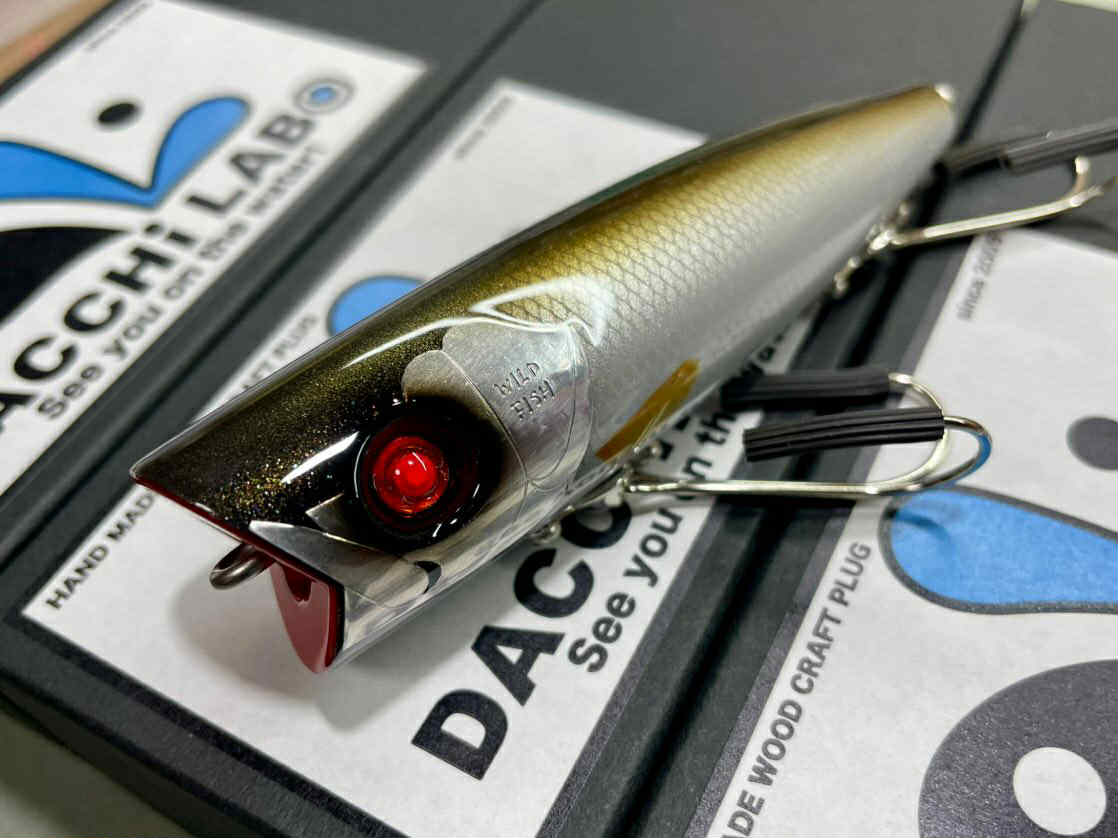 ワイルドフィッシュ40周年限定　ダッチラボ　ポンズー　D.L.FISH　（WILDFISH　アカメ）　送料レターパック600円